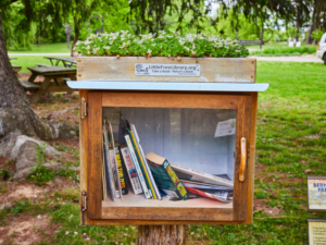 photo of a little free library