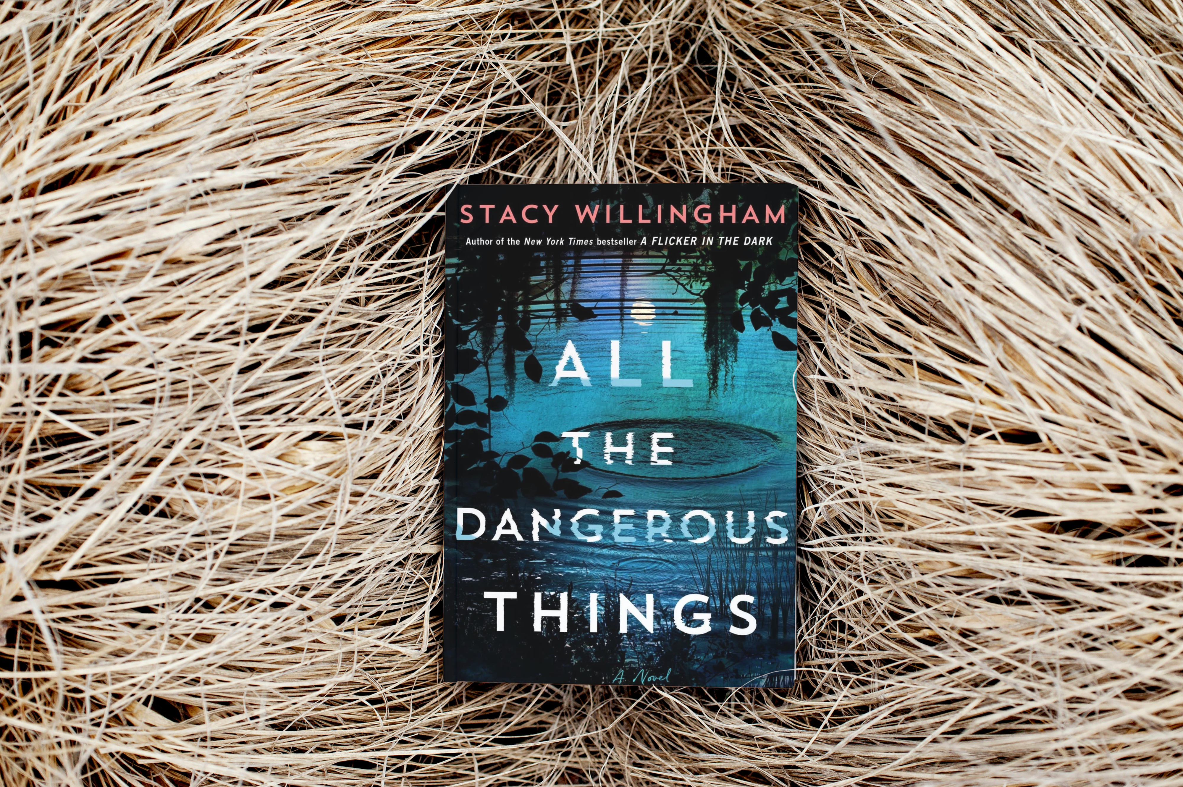 photo of book all the dangerous things by stacy willingham